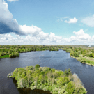 Marais de Cercanceaux