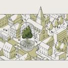 législation arbre
