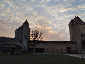 Agrandir l’image